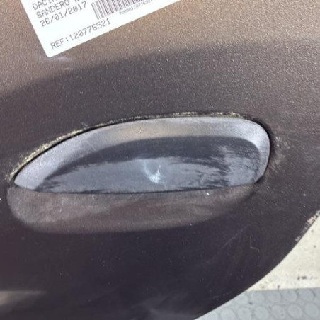 Porte arriere gauche DACIA SANDERO 2