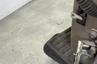 Porte arriere gauche DACIA SANDERO 2