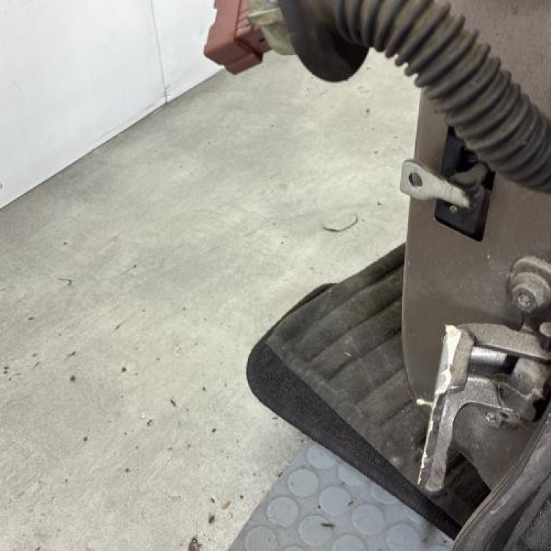 Porte arriere gauche DACIA SANDERO 2 Photo n°4