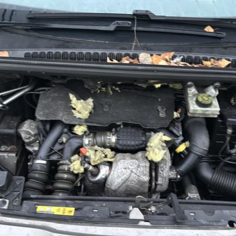 Attache ceinture arriere gauche PEUGEOT 5008 1 Photo n°20