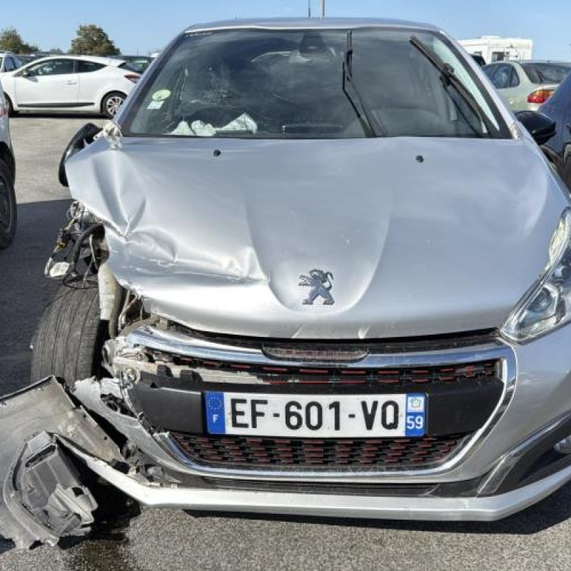 Porte arriere gauche PEUGEOT 208 1 Photo n°13