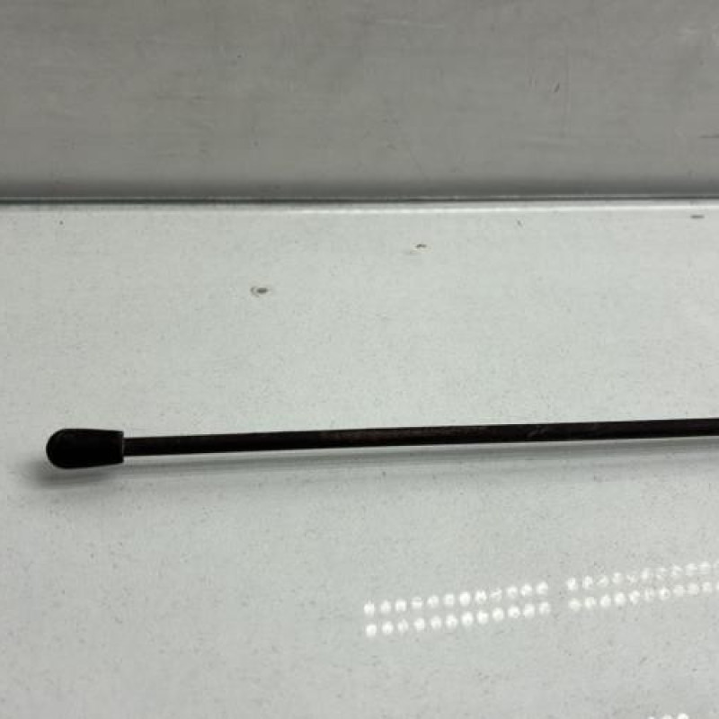 Antenne RENAULT TWINGO 1 Photo n°3