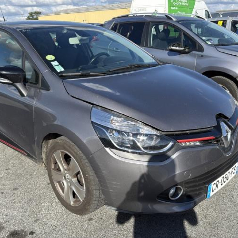 Porte arriere droit RENAULT CLIO 4 Photo n°6