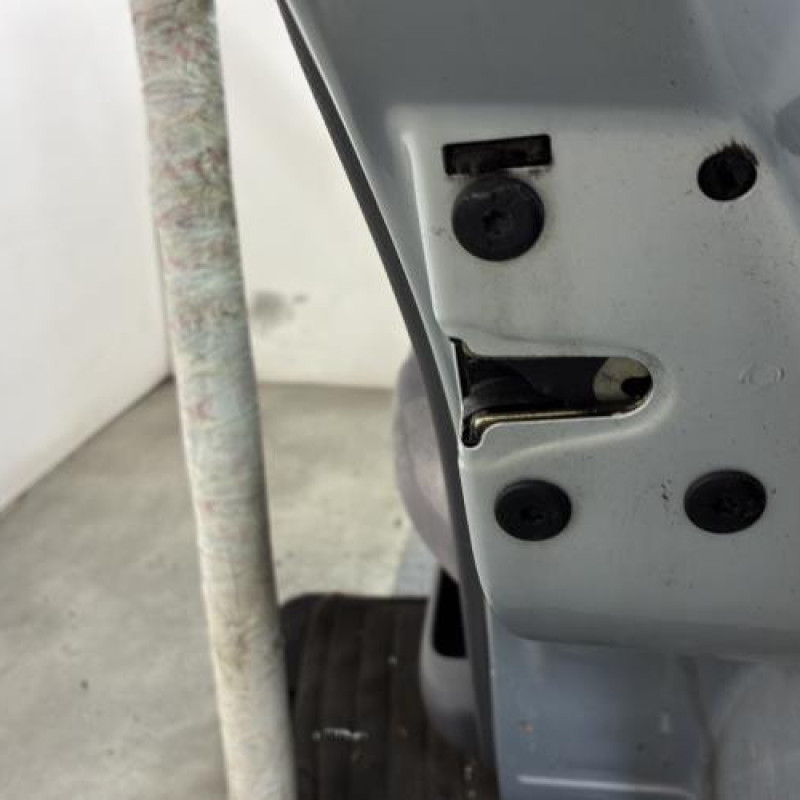 Porte arriere droit RENAULT MEGANE 1 Photo n°3