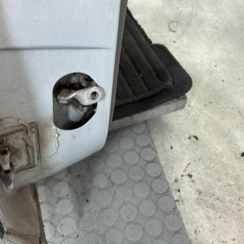 Porte arriere droit RENAULT MEGANE 1 Photo n°5