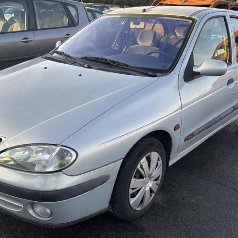 Porte arriere droit RENAULT MEGANE 1 Photo n°7