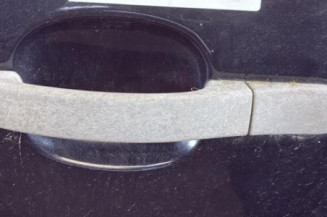 Porte arriere gauche FORD FIESTA 5