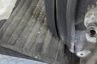 Porte arriere gauche FORD FIESTA 5