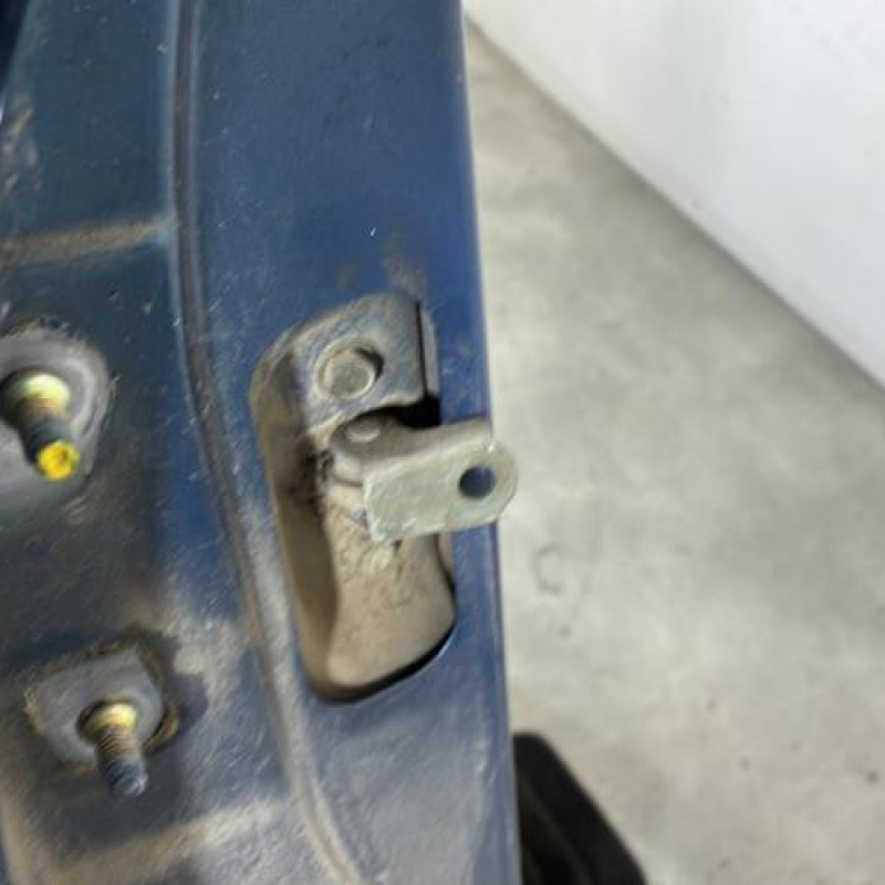 Porte arriere droit NISSAN ALMERA TINO Photo n°3