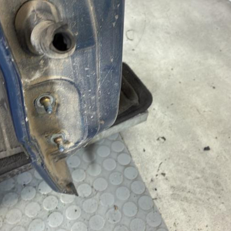 Porte arriere droit NISSAN ALMERA TINO Photo n°4