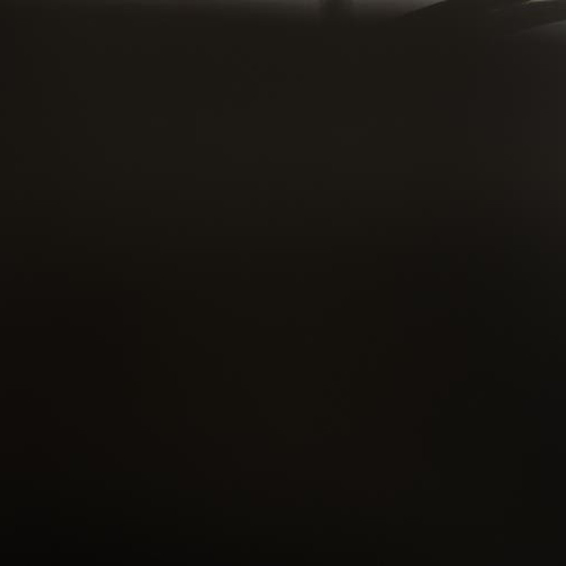 Porte avant droit NISSAN ALMERA TINO Photo n°7