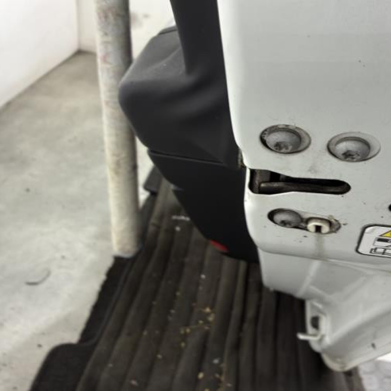 Porte arriere droit LANCIA DELTA 3 Photo n°3