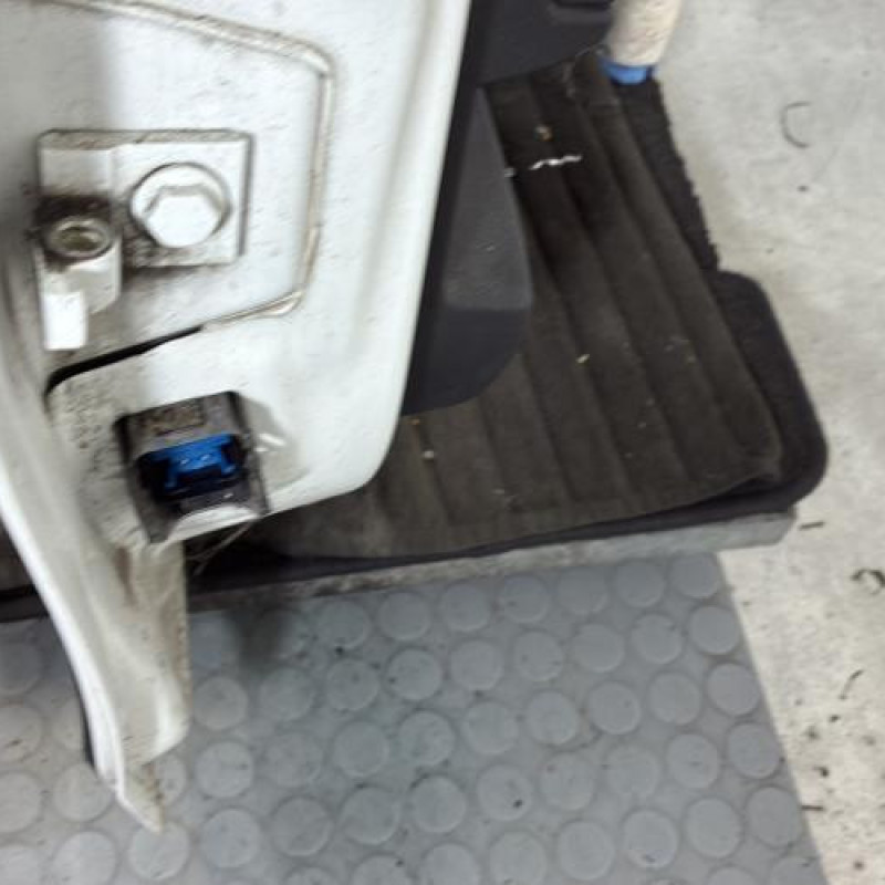 Porte arriere droit LANCIA DELTA 3 Photo n°5