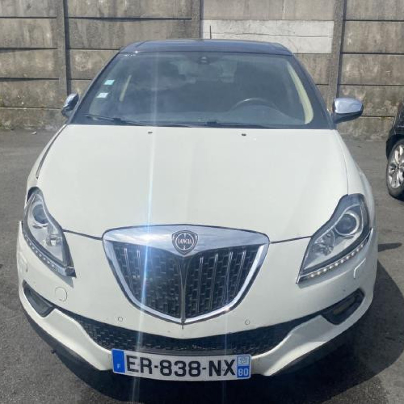 Porte arriere droit LANCIA DELTA 3 Photo n°14