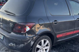 Pompe de direction PEUGEOT 307