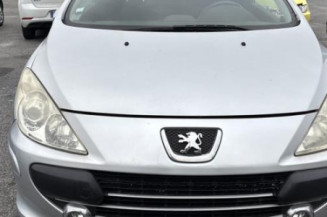 Leve vitre electrique arriere droit PEUGEOT 307
