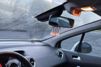 Vase de lave glace PEUGEOT 308 1