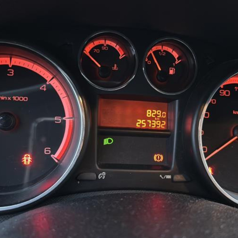 Vase de lave glace PEUGEOT 308 1 Photo n°19