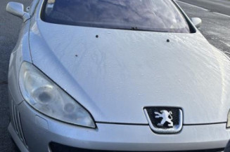 Reservoir essence PEUGEOT 407