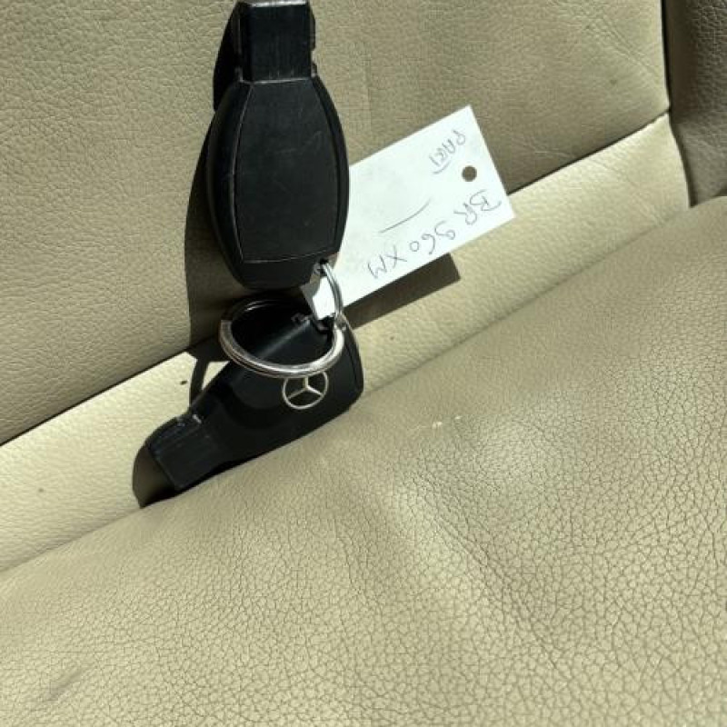 Calandre MERCEDES CLASSE B 245 Photo n°20