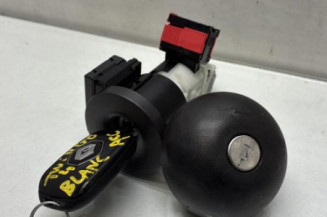 Neiman RENAULT TWINGO 3 Photo n°1