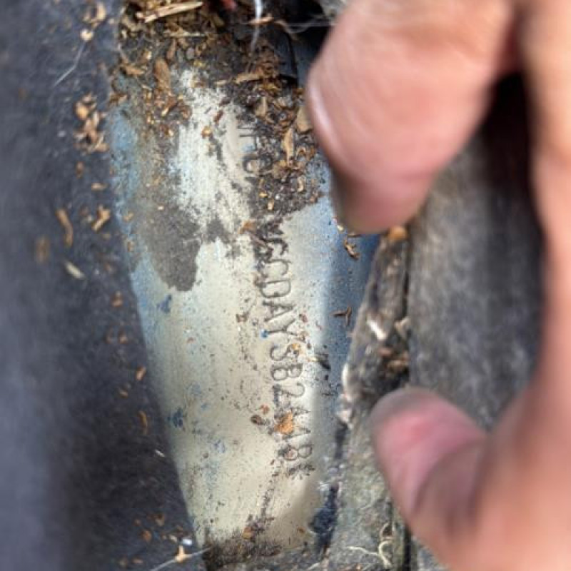 Feu arriere principal droit (feux) FORD FOCUS 1 Photo n°20