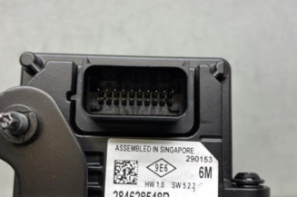 Camera RENAULT SCENIC 4