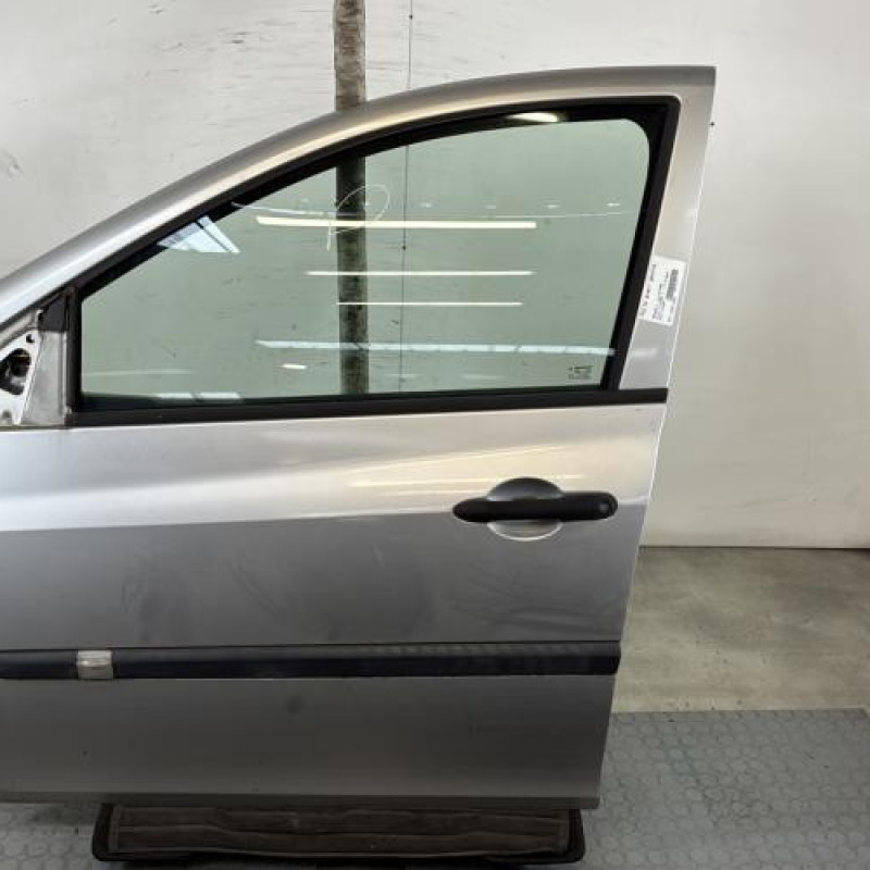 Porte avant gauche RENAULT CLIO 3 Photo n°1