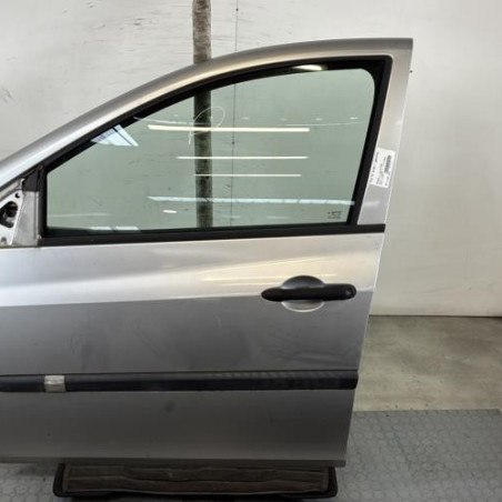 Porte avant gauche RENAULT CLIO 3 Photo n°1