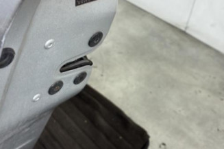 Porte avant gauche RENAULT CLIO 3