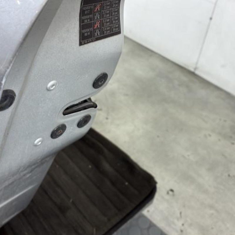 Porte avant gauche RENAULT CLIO 3 Photo n°3