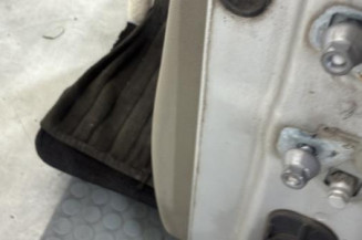 Porte avant gauche RENAULT CLIO 3