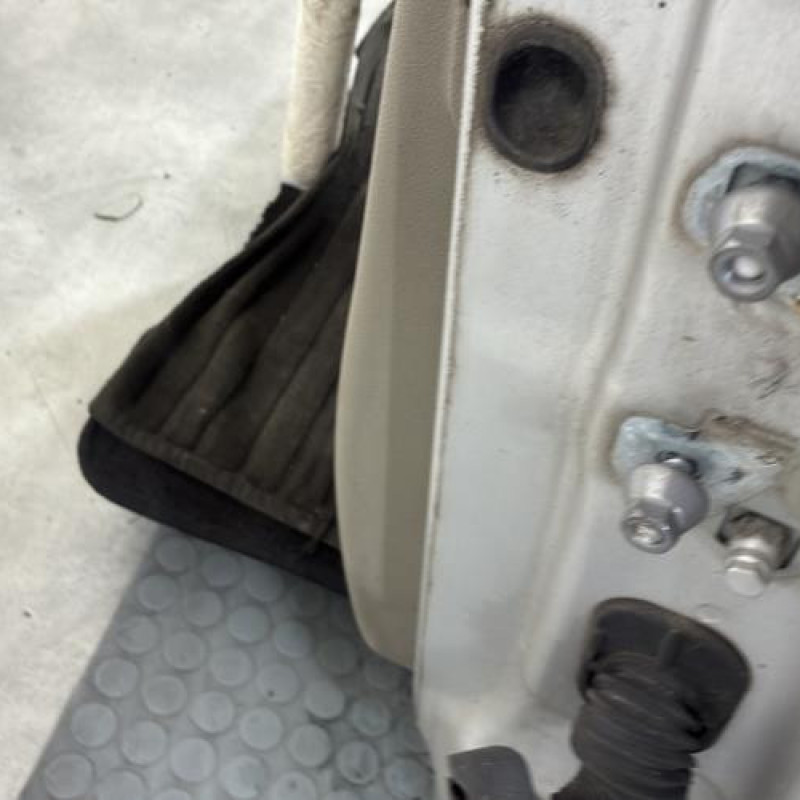 Porte avant gauche RENAULT CLIO 3 Photo n°4