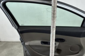Porte avant gauche RENAULT CLIO 3