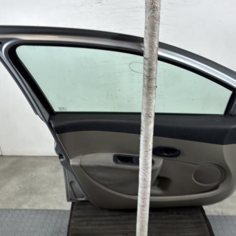 Porte avant gauche RENAULT CLIO 3 Photo n°6