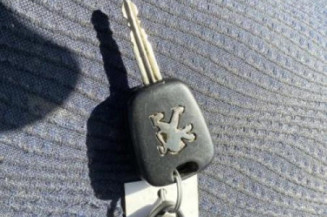 Custode arriere gauche PEUGEOT PARTNER 1