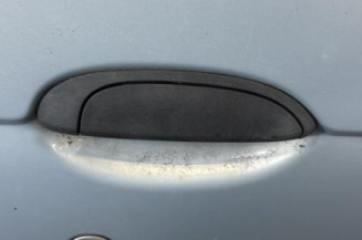 Porte avant droit RENAULT SCENIC 1