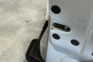 Porte avant droit RENAULT SCENIC 1