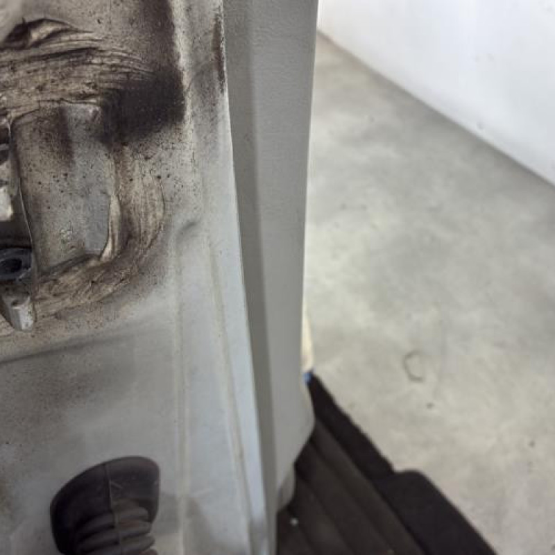 Porte avant droit RENAULT SCENIC 1 Photo n°4