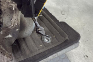 Porte avant droit RENAULT SCENIC 1