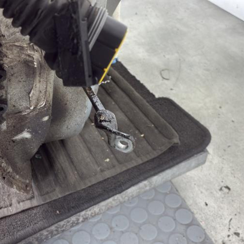 Porte avant droit RENAULT SCENIC 1 Photo n°5