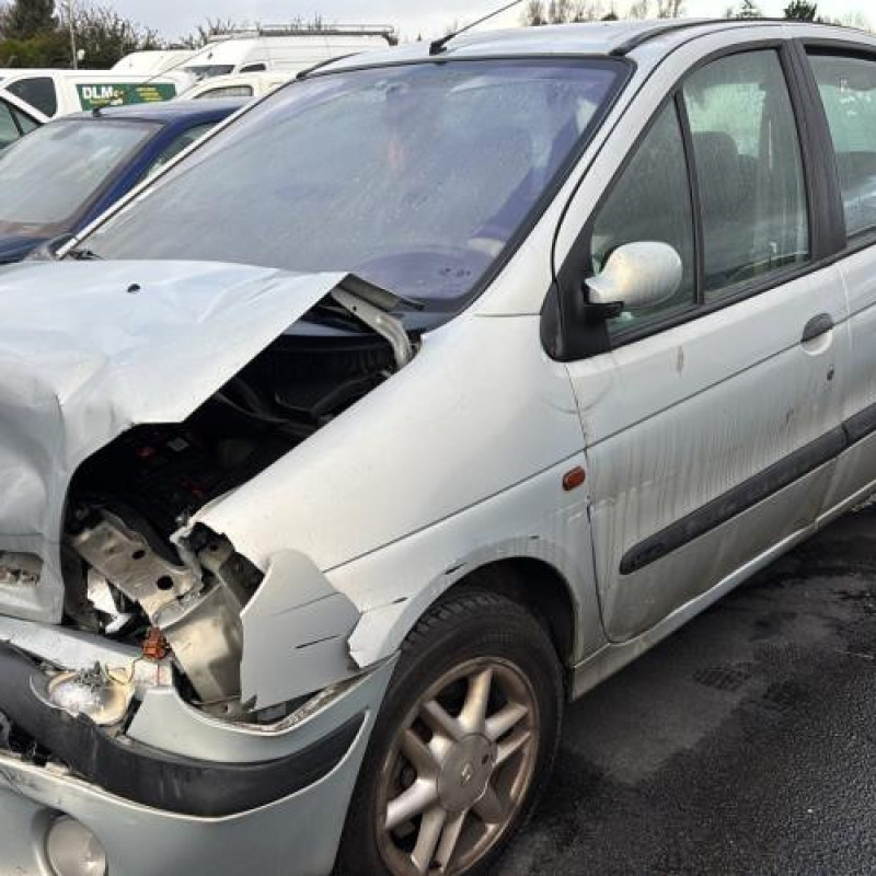 Porte avant droit RENAULT SCENIC 1 Photo n°7