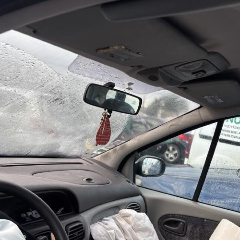 Porte avant droit RENAULT SCENIC 1 Photo n°19