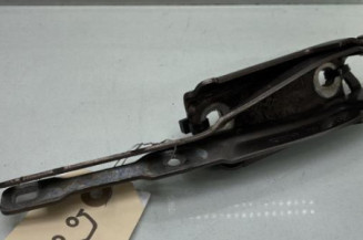 Charniere de capot DACIA SANDERO 2 Photo n°1