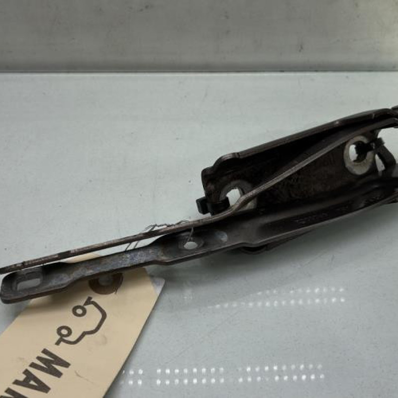 Charniere de capot DACIA SANDERO 2 Photo n°1