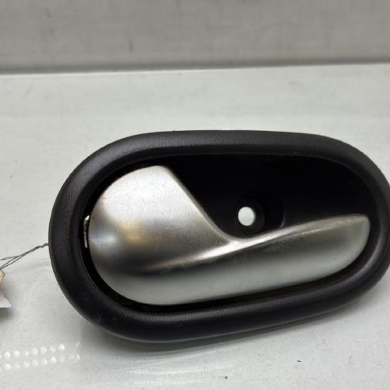 Poignee interieur arriere gauche DACIA SANDERO 2 Photo n°1