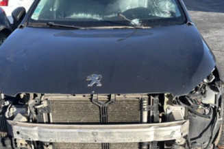 Custode arriere droit (porte) PEUGEOT 308 2