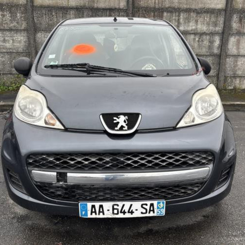 Porte avant gauche PEUGEOT 107 Photo n°14