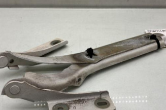 Charniere de capot PEUGEOT PARTNER 2 Photo n°1