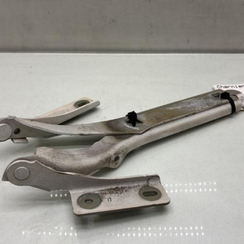 Charniere de capot PEUGEOT PARTNER 2 Photo n°1